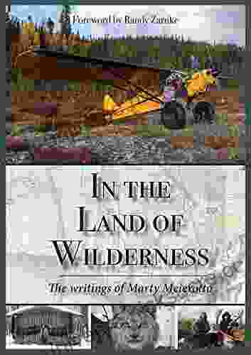 In The Land Of Wilderness: The Writings Of Marty Meierotto