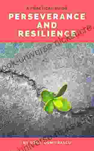 Perseverance And Resilience: A Practical Guide (Management 2)