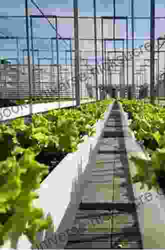 Rooftop Urban Agriculture Rakesh V Vohra