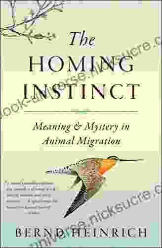 The Homing Instinct: Meaning Mystery In Animal Migration