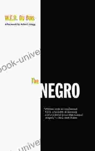 The Negro W E B Du Bois