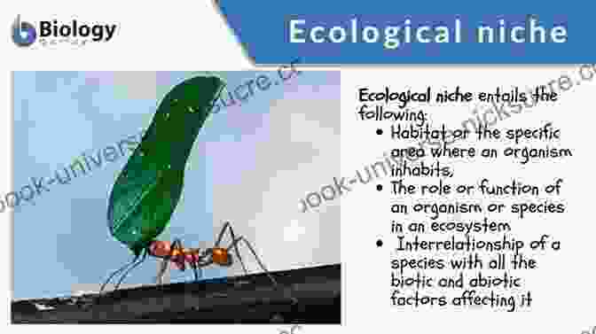 A Diagram Illustrating The Concept Of The Ecological Niche G Evelyn Hutchinson And The Invention Of Modern Ecology