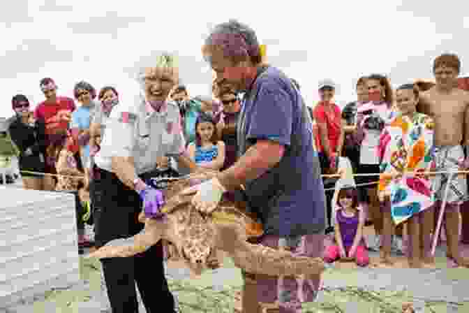 A Photo Of A Group Of Volunteers Releasing A Rehabilitated Sea Turtle Back Into The Ocean Greenpeace Captain: My Adventures In Protecting The Future Of Our Planet