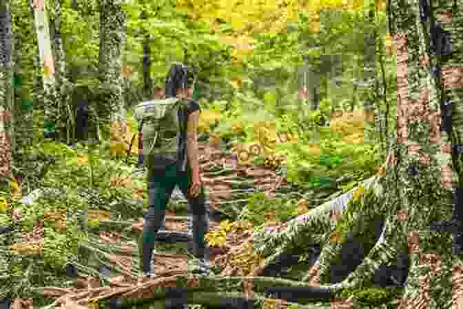 Person Hiking In A Forest The Imperative Habit: 7 Non Spiritual Practices Towards Spiritual Behavior For Happiness Health Love And Success