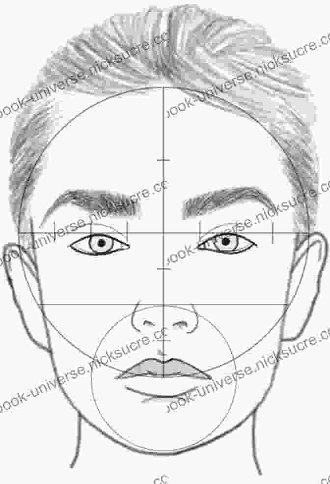 Sketch The Basic Structure Of The Face How To Draw MORE Fun Fab Faces: A Comprehensive Step By Step Guide To Drawing And Coloring The Female Face In Profile And 3/4 View